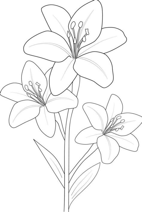Pin On Different Pixxs Flower Drawing Flower Line Drawings Flower