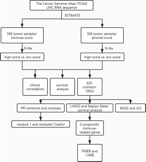 Frontiers Identification Of Prognostic Stromal Immune Scorebased