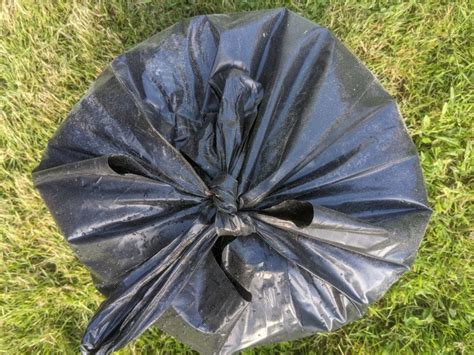 Unveiling The Composting Power Of Plastic Bags Compost Magazine