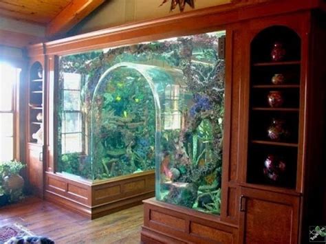 I Neeeeed This Amazing Aquariums Aquarium Design Home Aquarium