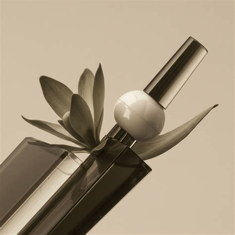 City officials explain the logistical challenges of maggies paratransit brooklyn 7