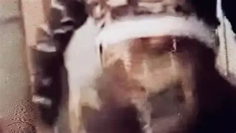 SLimGoody Porn Videos Sex Model Nudes XHamster