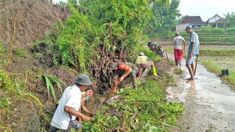 Babinsa Bersama Warga Gotong Royong Normalisasi Irigasi Website Resmi