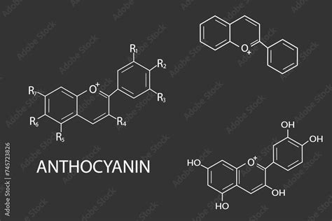 Anthocyanin Molecular Skeletal Chemical Formula Stock Vector Adobe Stock