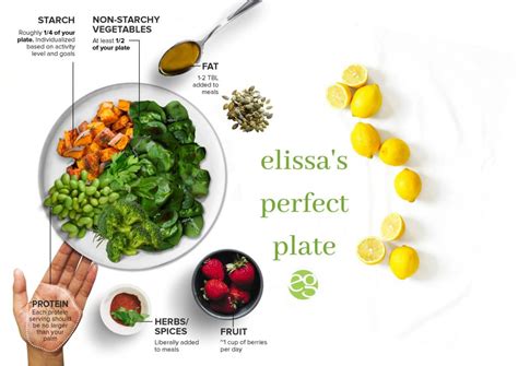 Elissas Perfect Plate Elissa Goodman