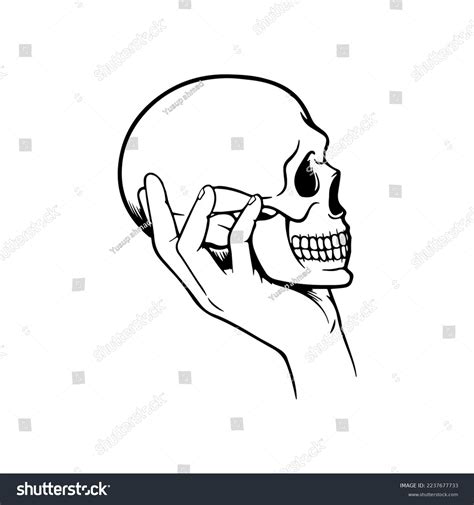 Vector Illustration Hand Holding Skull Stock Vector Royalty Free