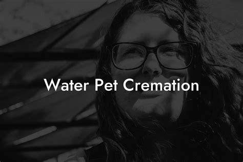 Water Pet Cremation Eulogy Assistant