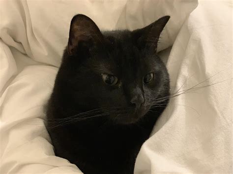 6246 Best Smokey Images On Pholder Makeup Addiction Earth Porn And Aww