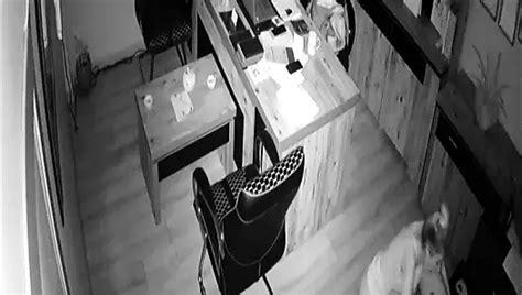 Free Boss Lady Porn Videos Xhamster