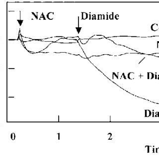 Nac Prevents Diamide Induced Reduction In Cellular Gsh Blmvecs Were