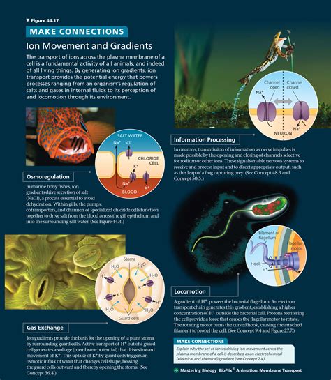 See what’s new in Campbell Biology, 12th Edition