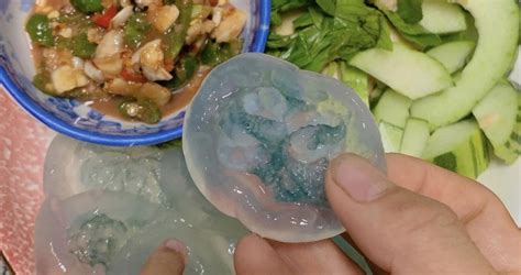 C S N X Hu B Ng Hot Tr N Mxh D N T Nh X I Mua V N Th