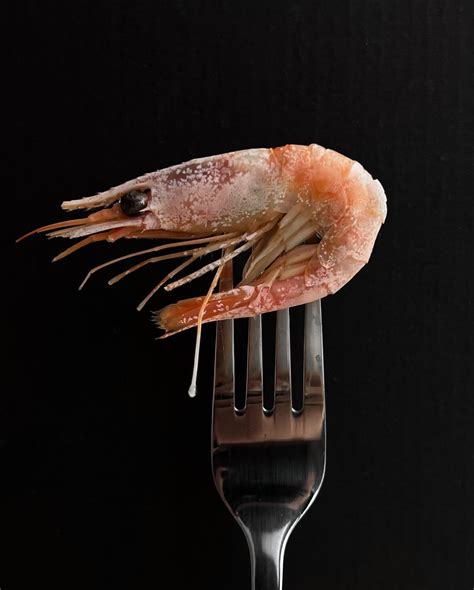 Свежайшая рыба и морепродукты у вас дома за 30-60 минут! Оформите заказ ...