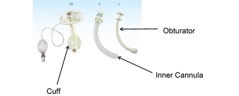 Tracheostomy Surgery Patient Education Uc Davis Childrens Hospital