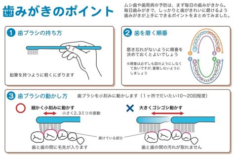 正しい歯の磨き方 名古屋市中区栄の歯科医院｜長谷川亨歯科クリニック