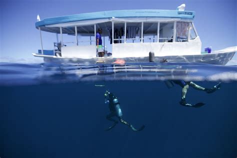 SCUBA DIVING IN MALDIVES: A COMPREHENSIVE GUIDE