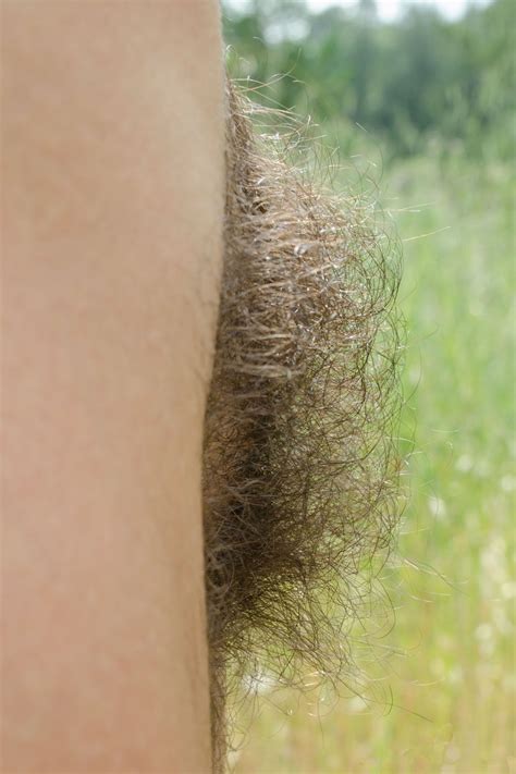 Beautiful Hairy Side Bush Tumblr P U Qa Xv Wmjl Oo Porn Pic