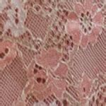 Enchanted Lace Lingerie Wicked Weasel