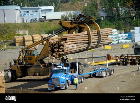 Logging Trucks Transport Lumber Forestry Logging Wood Industry Quesnel