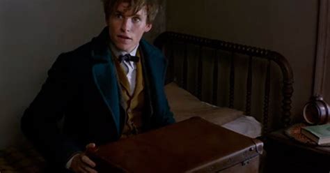 Теперь по-русски: трейлер фильма о мире Гарри Поттера вышел с переводом