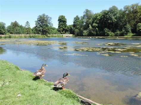 Lydiard Park Swindon | Swindon Country Park