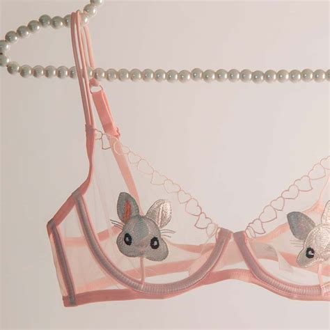 Kall S Blooms Sexy Lingerie Women S Full Transparent Bra Cute Rabbit Ultra Thin Non Sponge Super