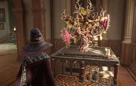 How to make your plants grow faster in Hogwarts Legacy