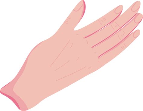Anime Hand Pngs For Free Download