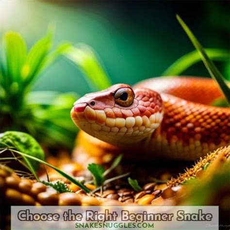 simple guide  taming pet snakes helpful tips  handling  bonding