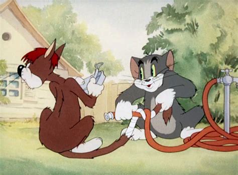Том из мультфильма том и джерри фото