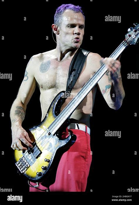 Red Hot Chili Peppers Wallpaper Flea