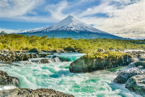 Día Mundial de la Vida Silvestre o Día Mundial de la Naturaleza