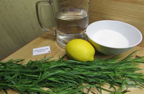 Домашний Напиток Тархун Рецепт С Фото – Telegraph