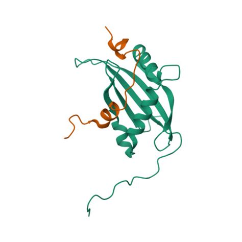 Gene Q Protein Ncoa Overview Cansar Ai