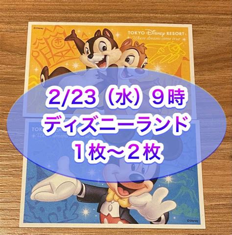 Yahooオークション 2月23日祝・水 9時入園 ディズニーランド チケ