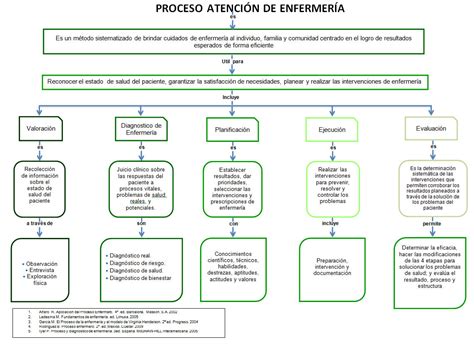 Proceso De Atencion De Enfermeria Enfermeria Evaluacion Images Hot