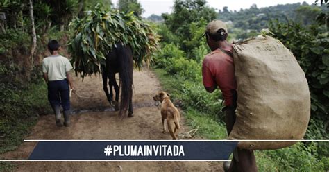 La Toma De Decisiones Para El Desarrollo Rural De Guatemala Chapines