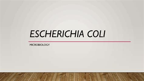 Solution Escherichia Coli Studypool