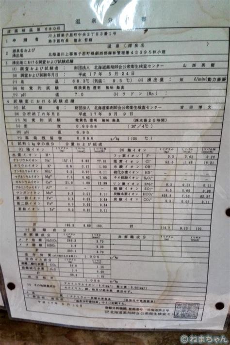 コタン温泉(北海道川上郡弟子屈町)【日本全国温泉ガイド】