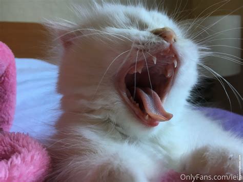 Nsfwleia Nsfwleia Nude Onlyfans Leaks Fappening Fappeningbook