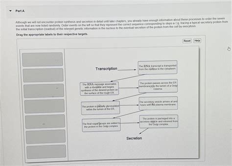 Solved Part AAlthough we will not encounter protein | Chegg.com