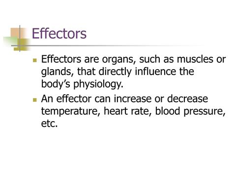 PPT - Introduction to Anatomy & Physiology PowerPoint Presentation - ID