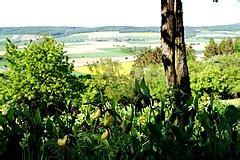 categoryabbenser berg wikimedia commons