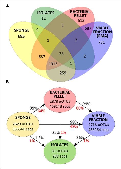 A Venn Diagram For Uotu Distribution Of V4 16s Rrna Gene Sequences