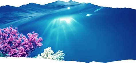 About Aquamin Marine Minerals | Aquamin