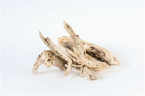 Glow The Event Store | Driftwood - Set of 12 - Glow The Event Store