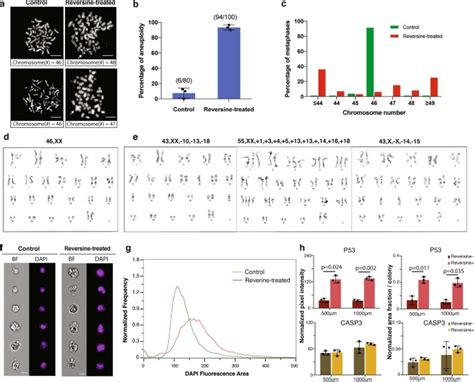 Depletion Of Aneuploid Cells In Human Embryos And Gastruloids Nature