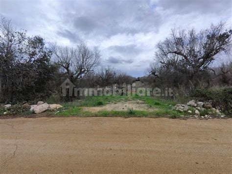 Terreno Agricolo C Da Madonna Del Casale Snc Ugento Rif