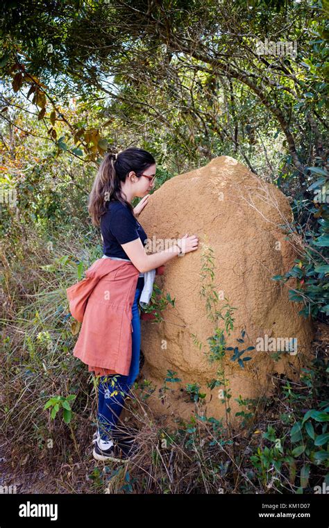 18 Year Old Brunette Hi Res Stock Photography And Images Alamy