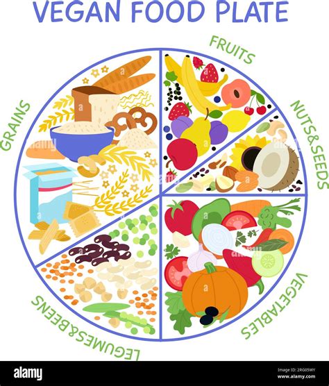 vegan food plate vegetarian infographic  healthy eating vitamins